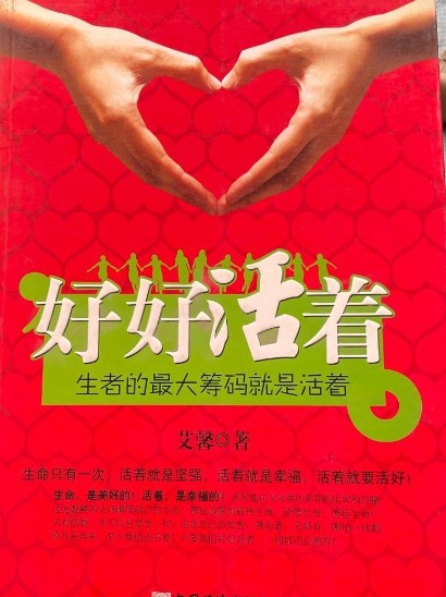 要好好活着(2008年中国经济出版社出版的图书)