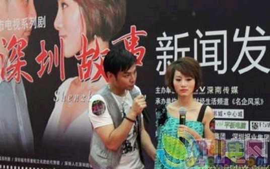 深圳故事（2011年龙青霞主演的电视剧）
