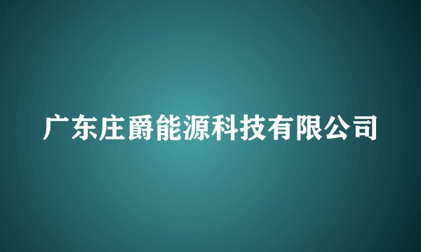 广东庄爵能源科技有限公司