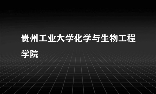 贵州工业大学化学与生物工程学院