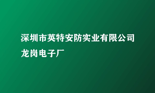 深圳市英特安防实业有限公司龙岗电子厂