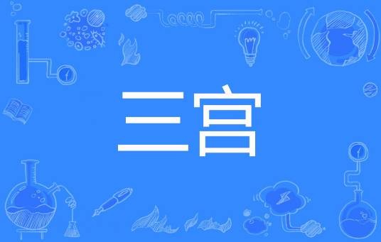 三宫（麦麦著网络小说）