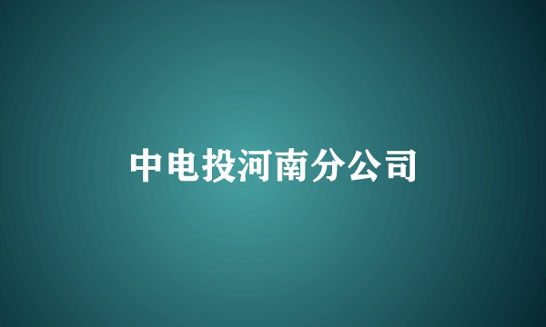 中电投河南分公司