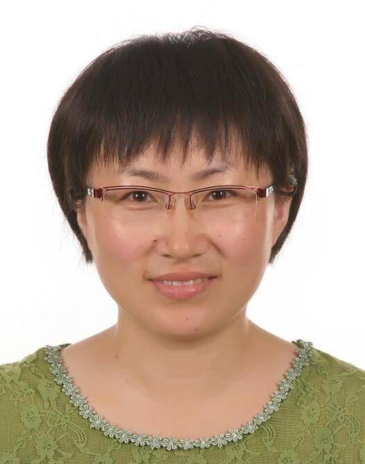 崔苗（大连理工大学航空航天学院教授）