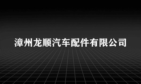 漳州龙顺汽车配件有限公司