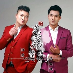 兄弟情义（许霖、陈长城演唱歌曲）