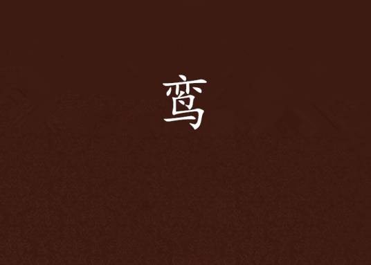 鸾（天夕著小说）