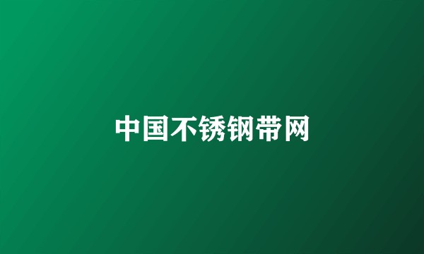 中国不锈钢带网