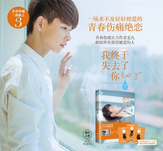我终于失去了你(2015年花山文艺出版社出版的图书)