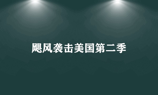 飓风袭击美国第二季