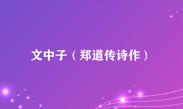 文中子（郑道传诗作）