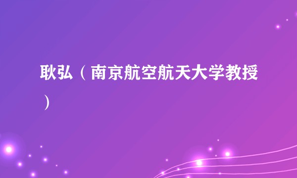 耿弘（南京航空航天大学教授）