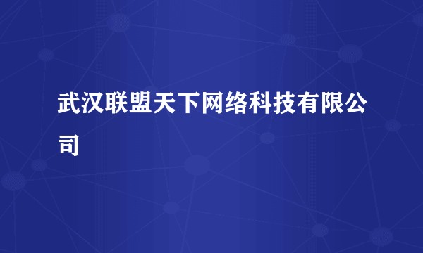 武汉联盟天下网络科技有限公司