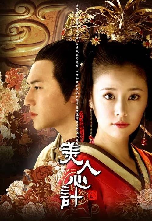 美人心计(2010年由林心如、王丽坤等主演的古装剧)