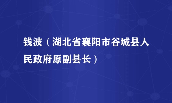 钱波(湖北省襄阳市谷城县人民政府原副县长)