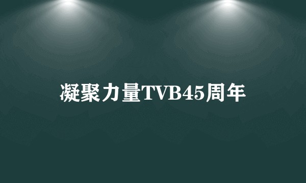 凝聚力量TVB45周年