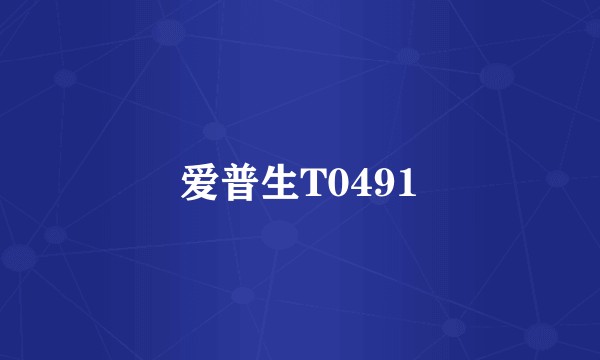 爱普生T0491