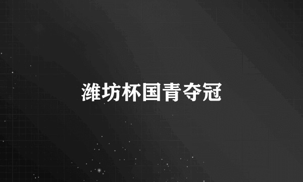 潍坊杯国青夺冠
