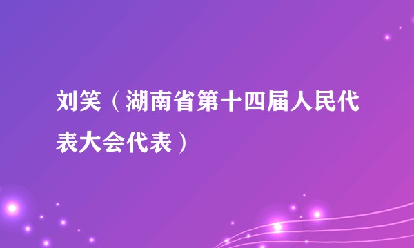 刘笑（湖南省第十四届人民代表大会代表）