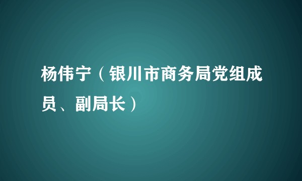 杨伟宁(银川市商务局党组成员、副局长)