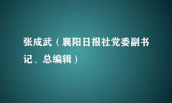 张成武（襄阳日报社党委副书记、总编辑）