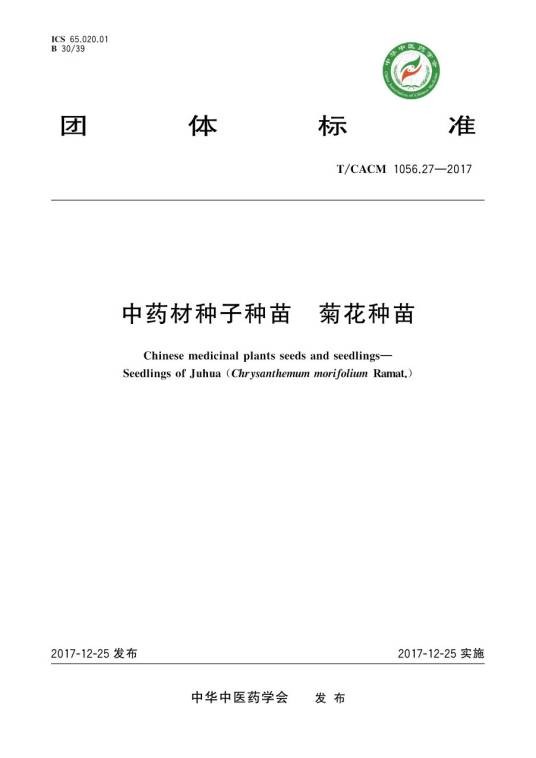 中药材种子种苗—菊花种苗