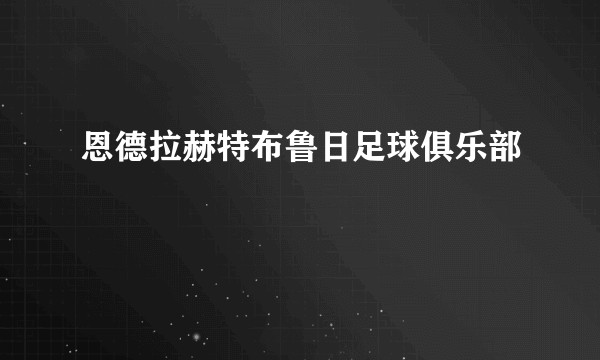 恩德拉赫特布鲁日足球俱乐部
