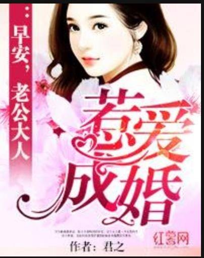 惹爱成婚（君之所著小说）