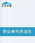 娇蛮妻的黑道总裁