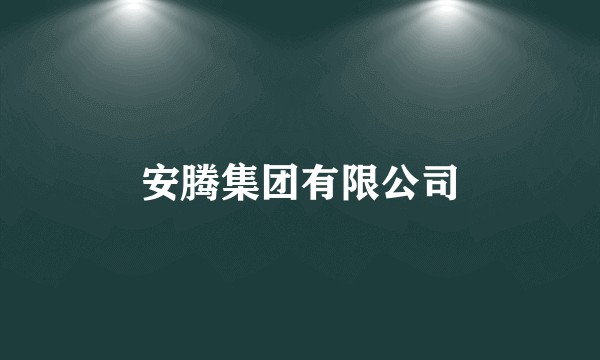 安腾集团有限公司