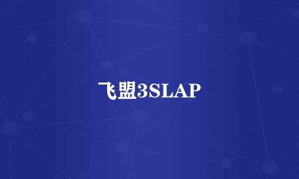 飞盟3SLAP