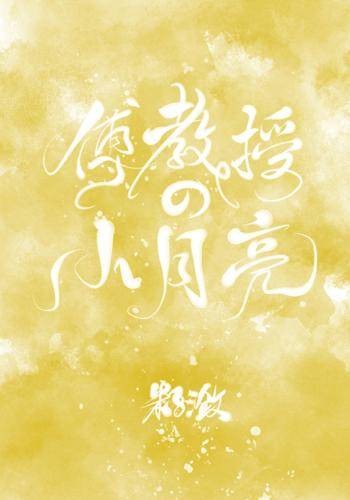 傅教授的小月亮