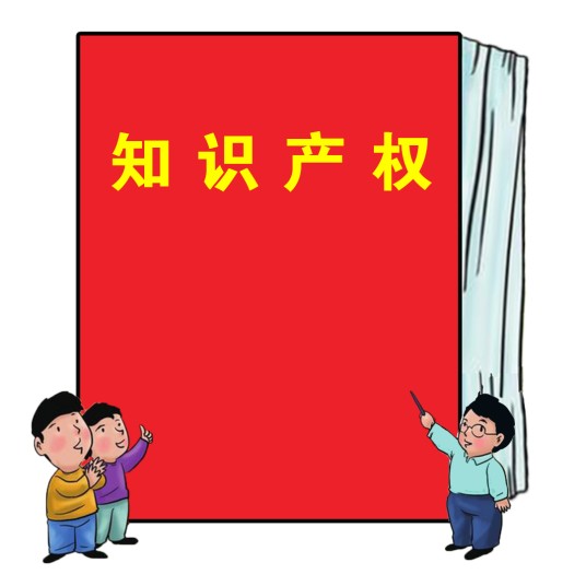 知识产权(法治概念)