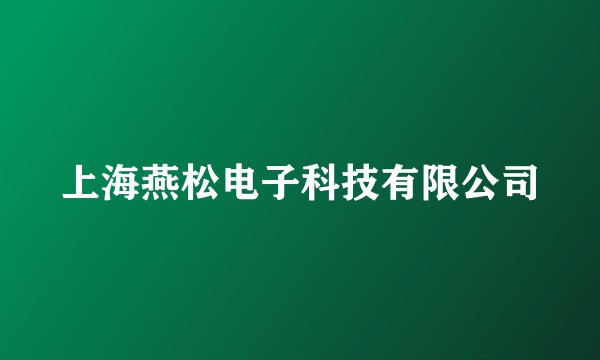 上海燕松电子科技有限公司