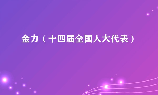 金力(十四届全国人大代表)