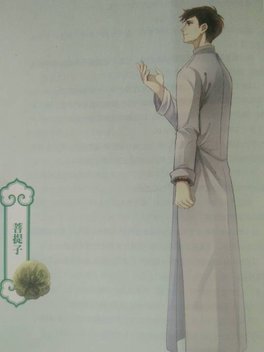 菩提子(小说《哑舍》及其衍生作品中的古董)