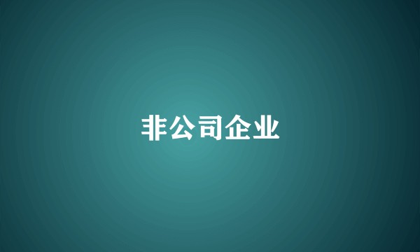非公司企业