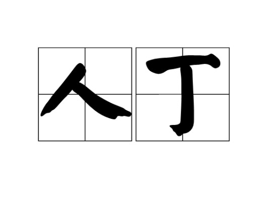 人丁