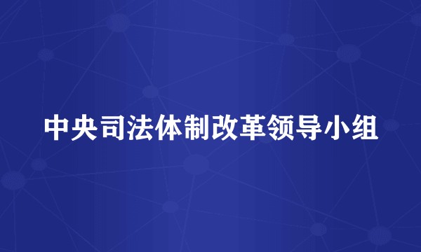 中央司法体制改革领导小组