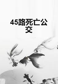 45路死亡公交