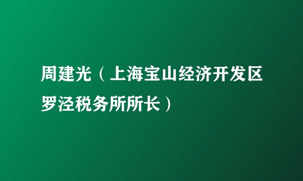 周建光（上海宝山经济开发区罗泾税务所所长）