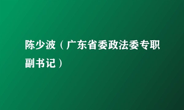 陈少波（广东省委政法委专职副书记）