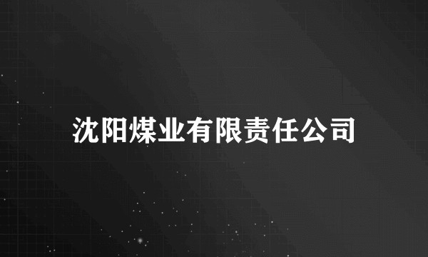 沈阳煤业有限责任公司