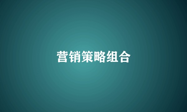 营销策略组合