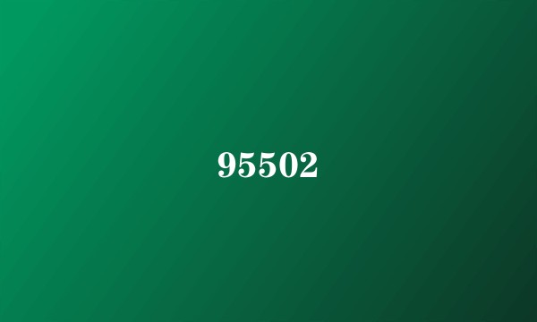 95502