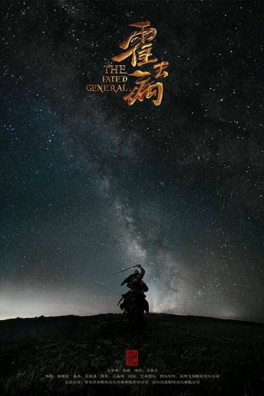 风起大漠（张健执导的古装历史剧）
