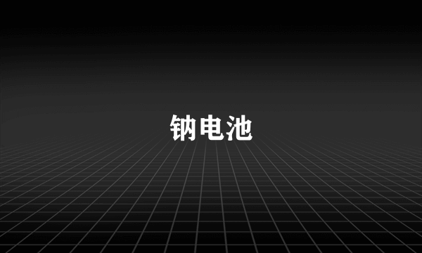 钠电池
