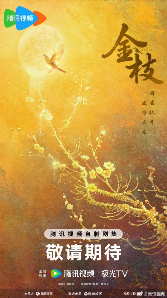 金枝（2026年曾庆杰执导的古装传奇剧）