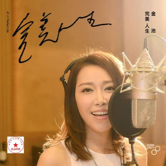 完美人生（金池演唱歌曲）