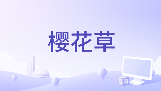 樱花草（包子要加馅演唱作品）
